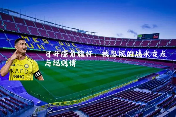 可升降角旗杆：被忽视的战术支点与规则博弈